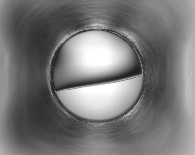 X0000093601373200710150950
