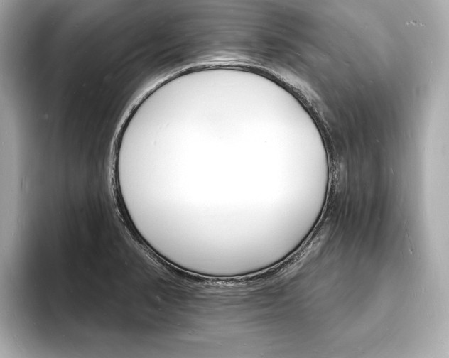 X0000093601374200710150950