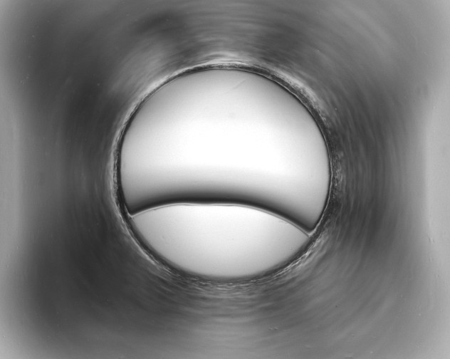X0000093601375200710150950