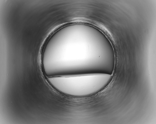 X0000093601376200710150950