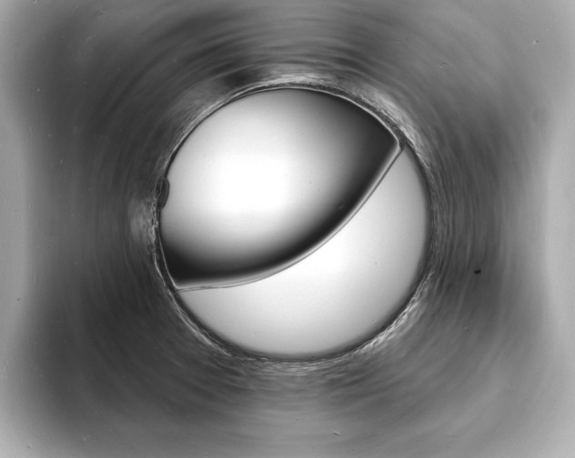 X0000093601377200710150950