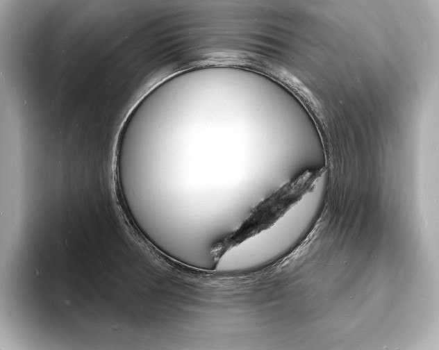X0000093601378200710150950