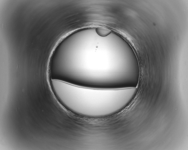 X0000093601379200710150950