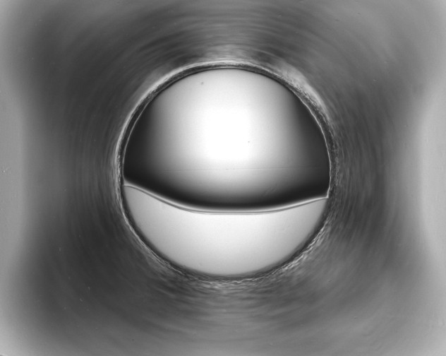 X0000093601380200710150950