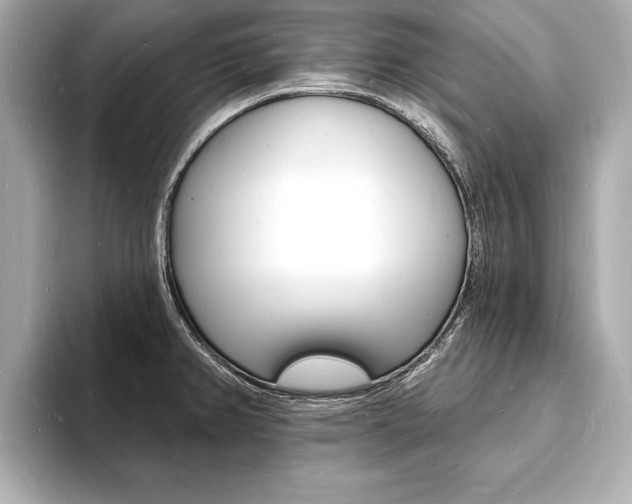 X0000093601382200710150950
