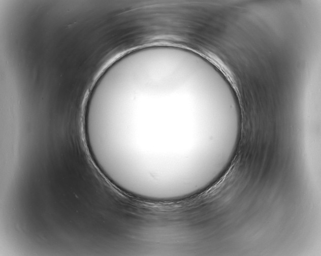 X0000093601384200710150949