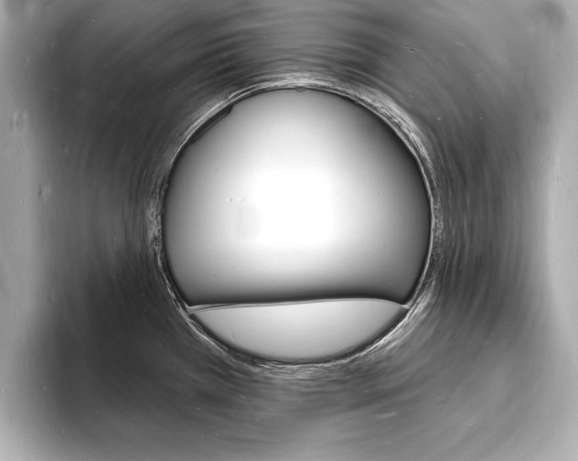 X0000093601385200710150949