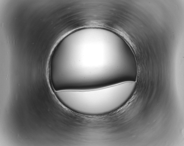 X0000093601387200710150949