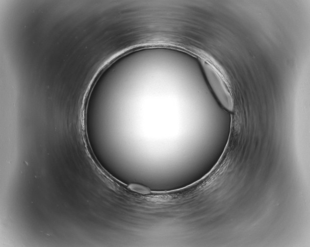X0000093601388200710150949