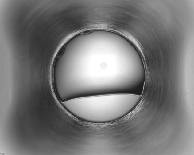 X0000093601389200710150949