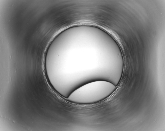X0000093601390200710150949