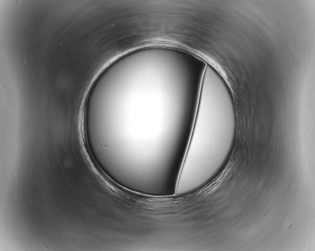 X0000093601391200710150949