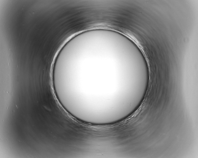 X0000093601392200710150949