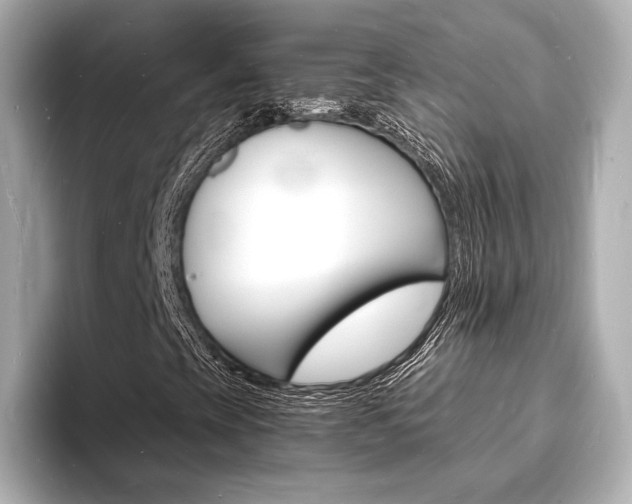 X0000093601393200710150949