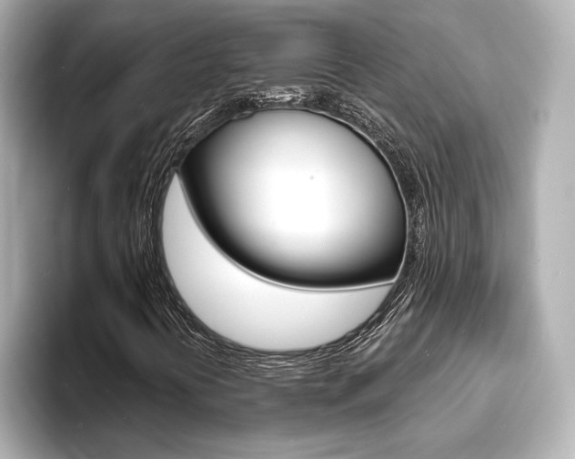 X0000093601394200710150949