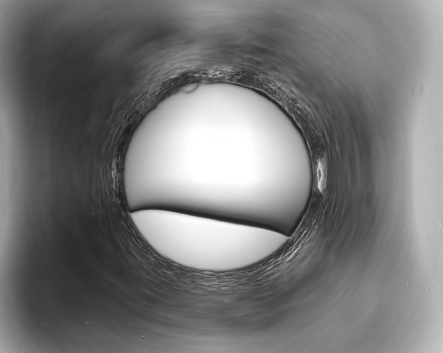 X0000093601395200710150949