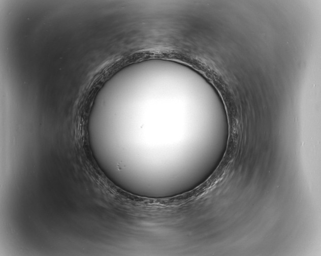 X0000093601398200710150949