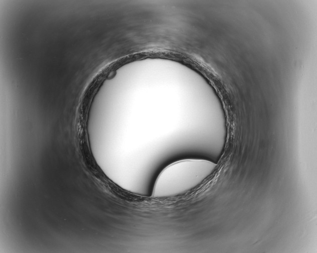 X0000093601400200710150949