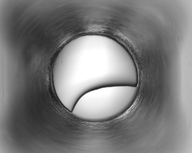 X0000093601401200710150949