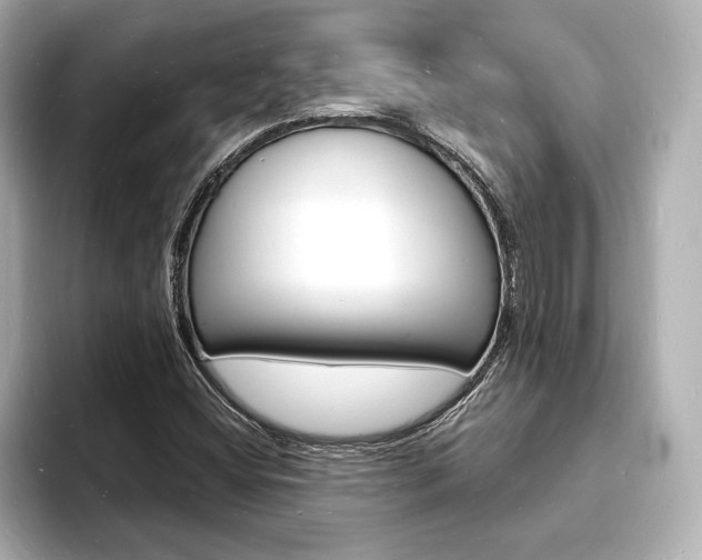 X0000093601404200710150949