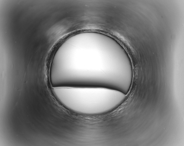 X0000093601408200710150949