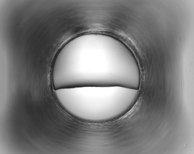 X0000093601409200710150949