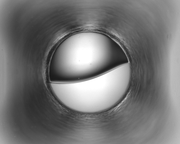 X0000093601410200710150949