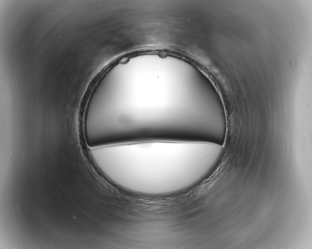 X0000093601412200710150949