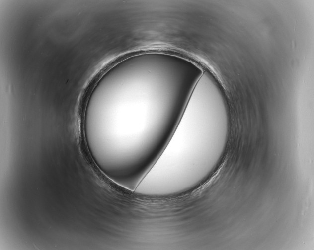 X0000093601414200710150949