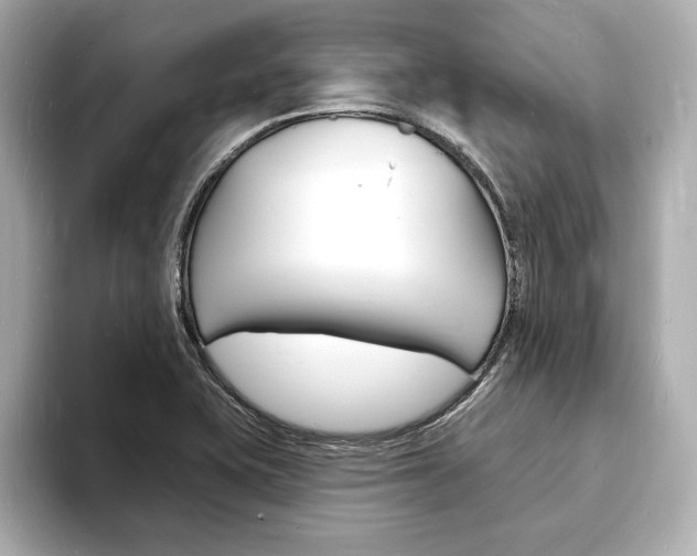 X0000093601415200710150949