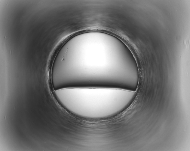 X0000093601416200710150949