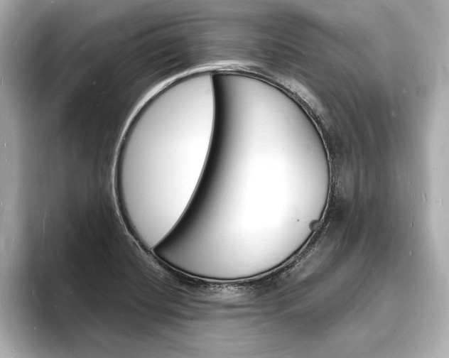 X0000093601420200710150949