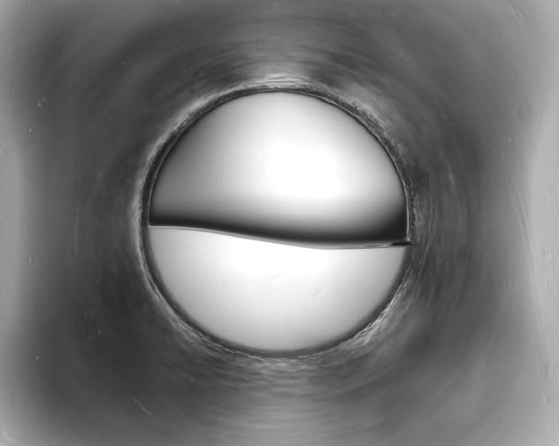 X0000093601422200710150949