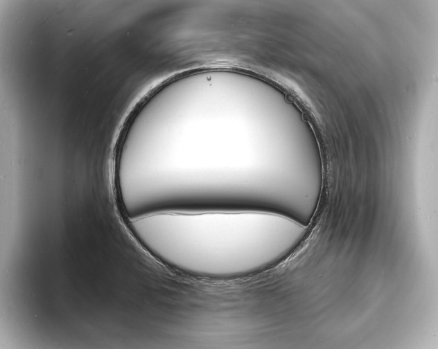 X0000093601424200710150949