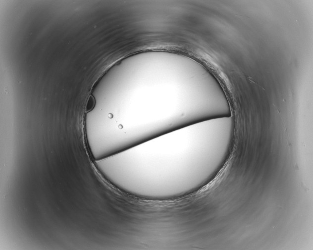 X0000093601425200710150949