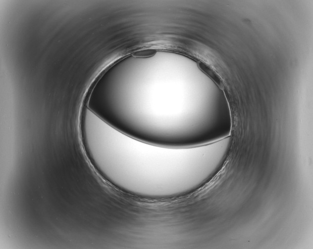 X0000093601426200710150949