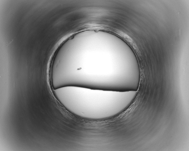 X0000093601427200710150949