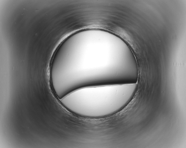 X0000093601428200710150949