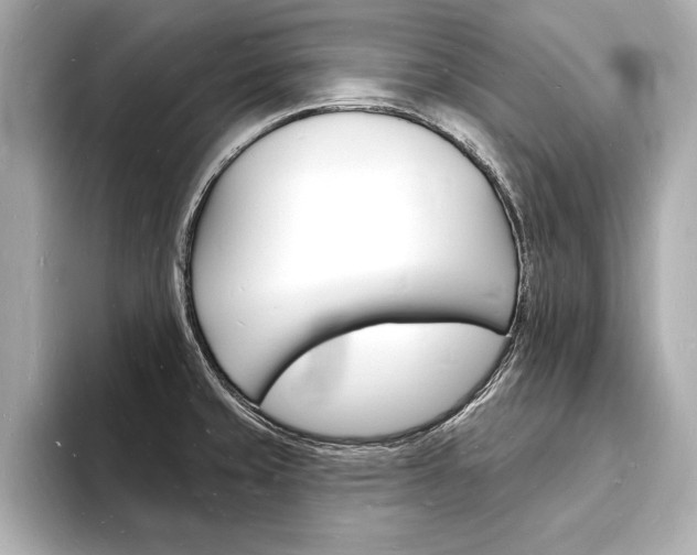 X0000093601429200710150949