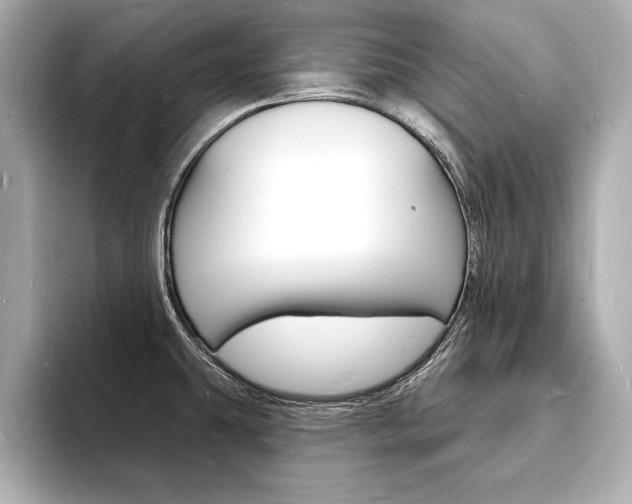 X0000093601431200710150949