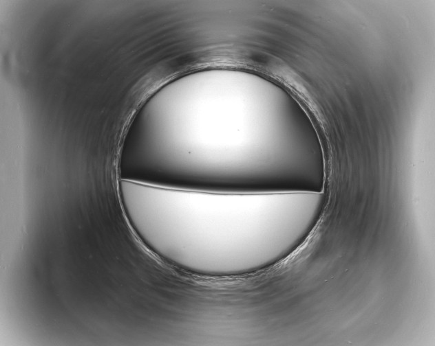 X0000093601433200710150949