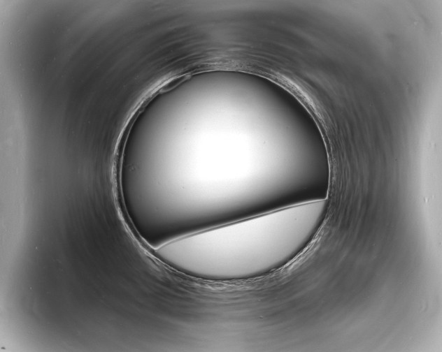 X0000093601434200710150949