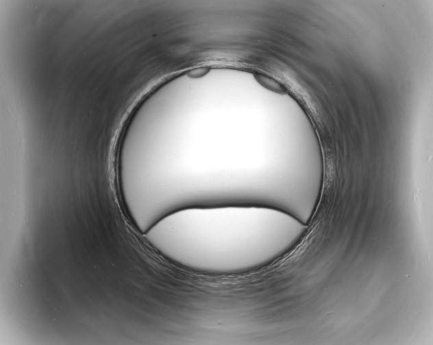 X0000093601435200710150949