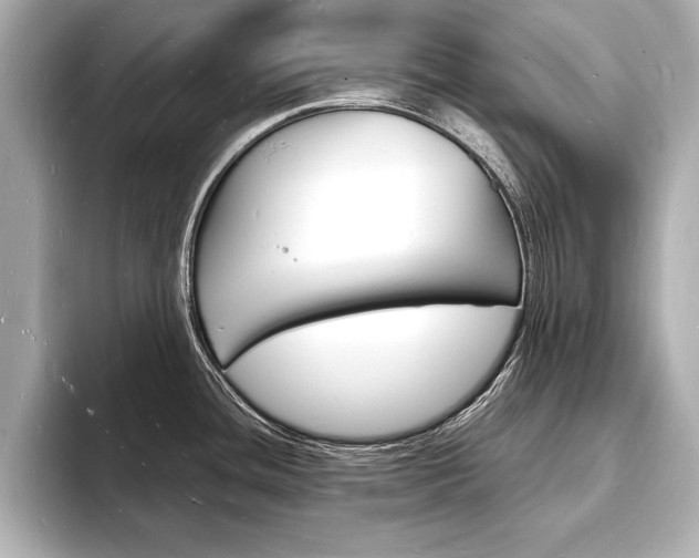X0000093601436200710150949