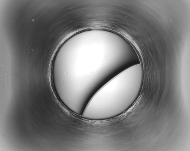 X0000093601437200710150949