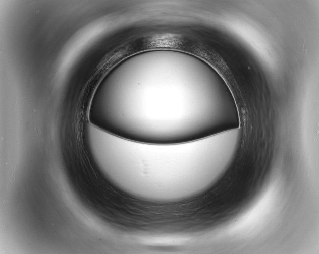 X0000093601438200710150949