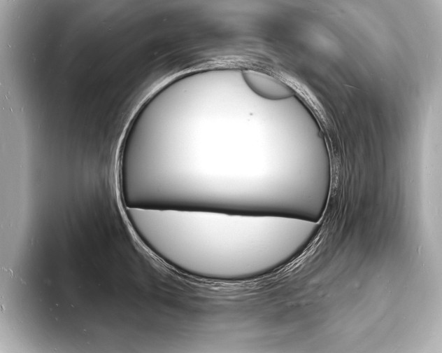 X0000093601439200710150949