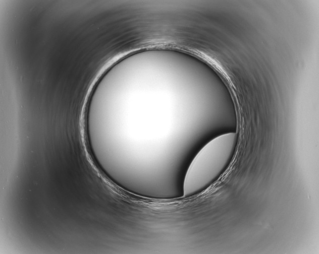 X0000093601440200710150949