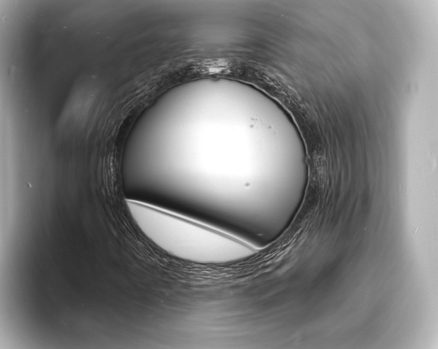 X0000093601442200710150949