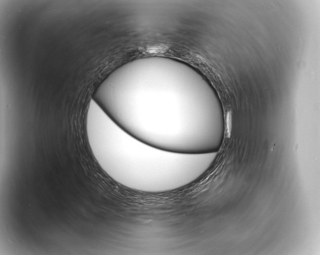 X0000093601443200710150949
